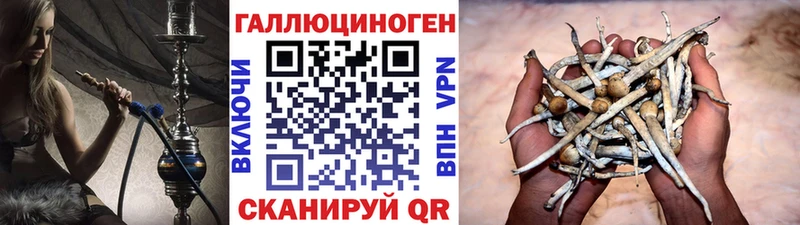 гидра как зайти  Мамоново  Псилоцибиновые грибы ЛСД 